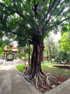 JIUNSHUI TEMPLE DE CONFICIUS (89)